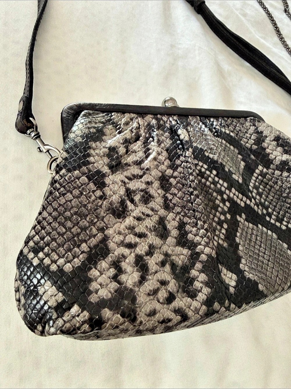 Patricia Nash Ealing Frame Crossbody snake skin Leather Bag in Black & Gray